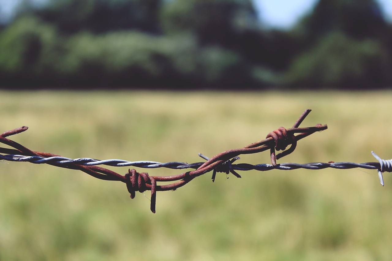 Making DIY Wire Crafts for Your Home